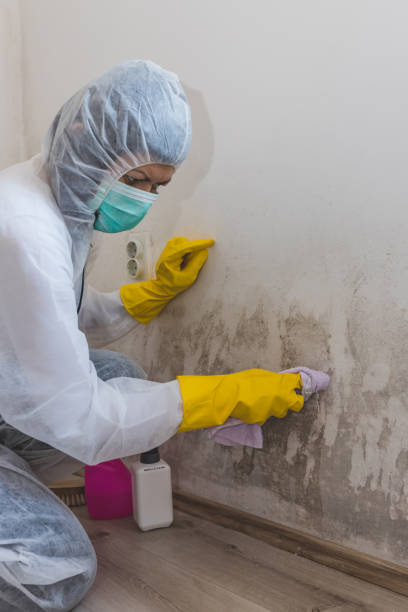Best Indoor Air Quality Assessment  in Union, SC